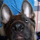 ���� ����, �����, 60 ��� - ��������� 9 ���� 2018 � ������ ������ ��������