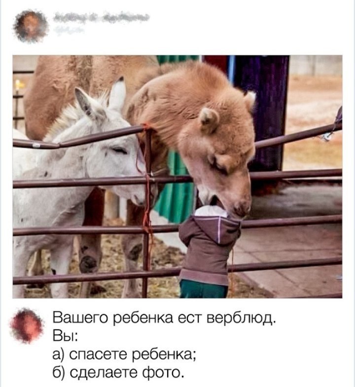 )