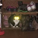 ���� ����, ����������, 58 ��� - ��������� 3 ������� 2017 � ������ ���� ����������