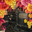 ���� �����, ������ �����, 64 ���� - ��������� 9 ������ 2018 � ������ ���� ����������