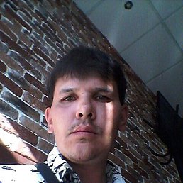 ������, ����, 51 ���