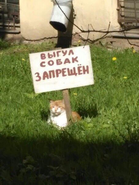   - 3  2018  19:54