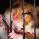 ���� ������, ������������ - ��������� 13 ������� 2018 � ������ ���� ����������