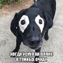 ���� �������� (�� ��������), �����������, 56 ��� - ��������� 20 ������� 2018 � ������ ���� ����������