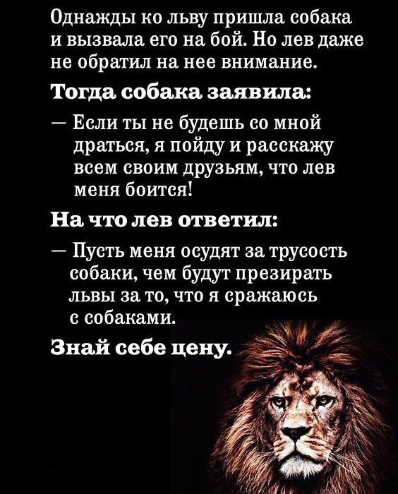 BEST | , ,  - 7  2018  04:04