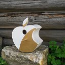  , , 64  -  9  2018   &quot;...  ,  ...&quot;