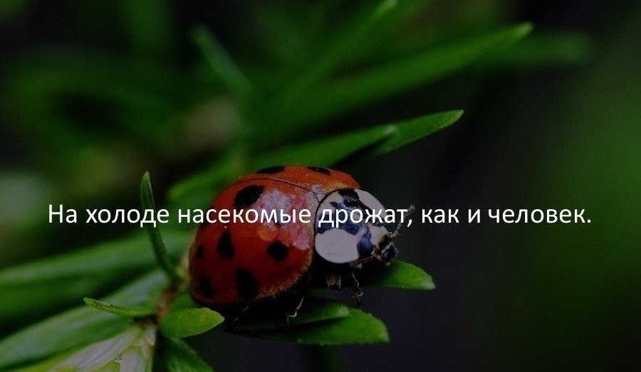   :    - 19  2018  16:24