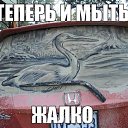 ���� �������, ������, 52 ���� - ��������� 3 ������� 2018 � ������ �������