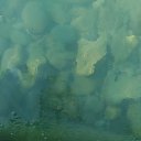  , , 60  -  28  2018   ,  , 2018