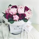 ���� ��������, ���������, 64 ���� - ��������� 23 ���� 2018