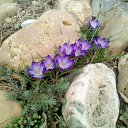 ���� ����� ;), ��������� - ��������� 10 ����� 2019 � ������ ���� ����������