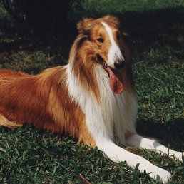 ������, ����, 50 ���