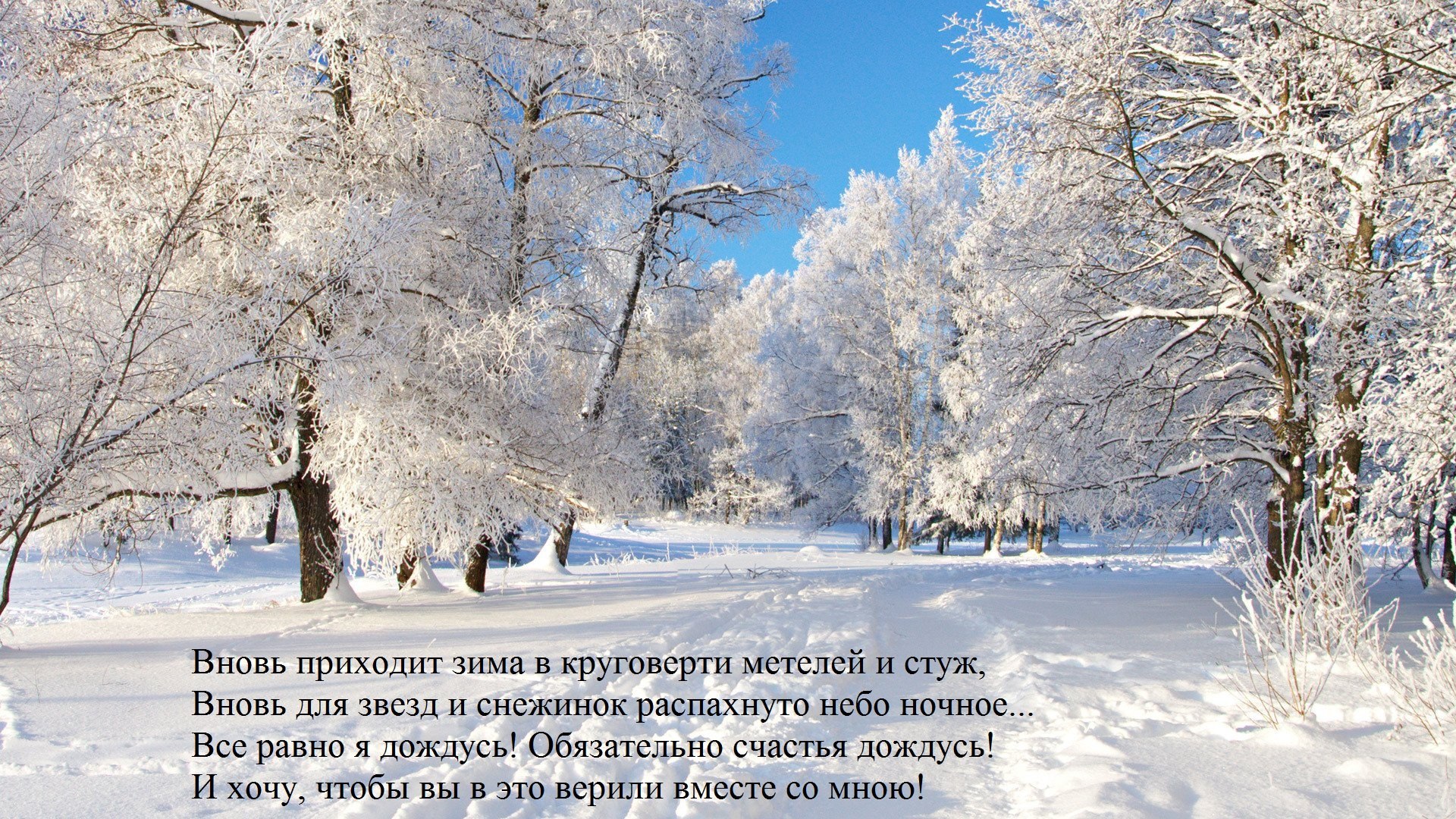 ������� ��������� - 19 ������� 2018 � 11:31