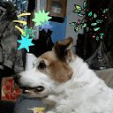 ���� ������, ����-�����������, 59 ��� - ��������� 3 ����� 2019 � ������ ���� ����������