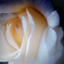 ���� �����, ����� - ��������� 5 ������� 2018 � ������ ���� ����������