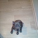 ���� ������, �����-���������, 52 ���� - ��������� 9 ������ 2018 � ������ ���� �������