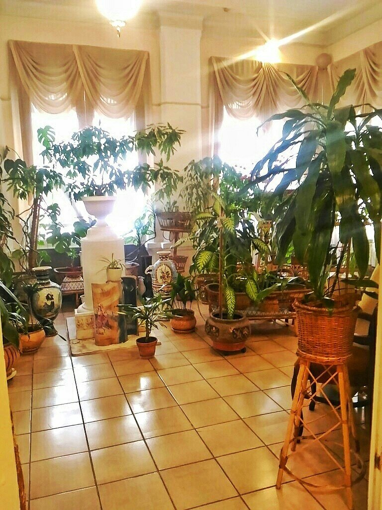 Вопрос за чем меня понесло в музей Ермоловой если я о ней вообще ни сном,ни духом? Увидела в ...