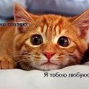  ,  -  28  2018    