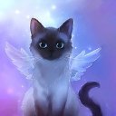 ���� ������, ����, 22 ���� - ��������� 3 ������ 2019 � ������ ���� ����������