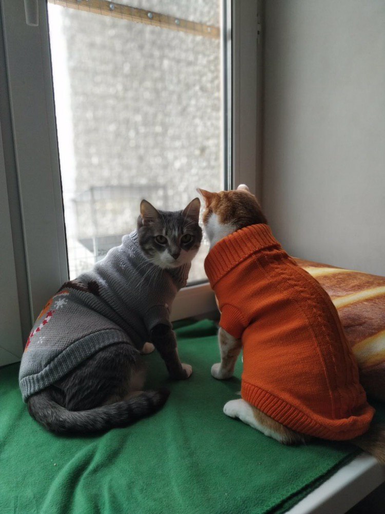   :3 - 4