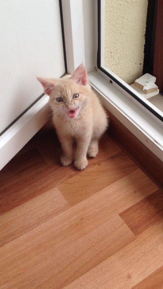 #_.  .     ,     , ... - 2