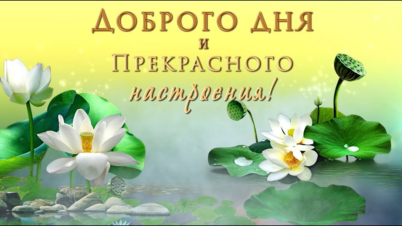   ,    . - 10  2019  13:13