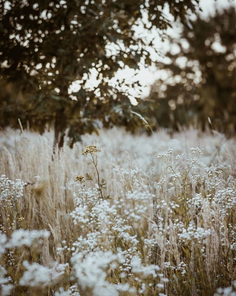  ! - 2