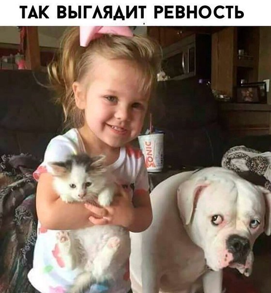  !)))