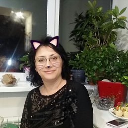 �����, �����������, 53 ����