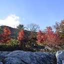 ���� Igor, ��� ����, 62 ���� - ��������� 7 ������ 2018 � ������ �Bear Mountain�