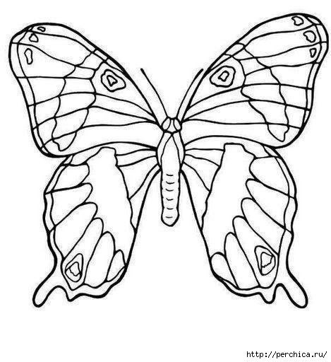 �������. ���������. - 8