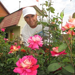 ���� ������, ������ - ��������� 8 ������� 2018