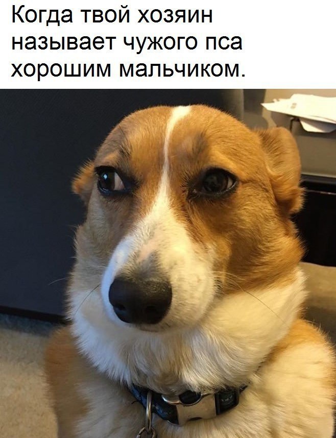  - 16  2019  16:49