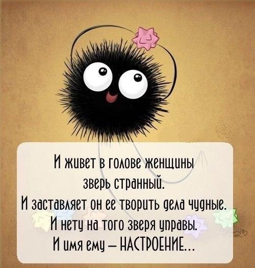   - 11  2018  16:24