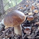 ���� �������, ������������ - ��������� 28 ������ 2018 � ������ �������