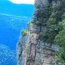 ����, ���������, 67 ���