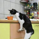 ���� �������, ����� - ��������� 15 ���� 2018 � ������ ������ ��������