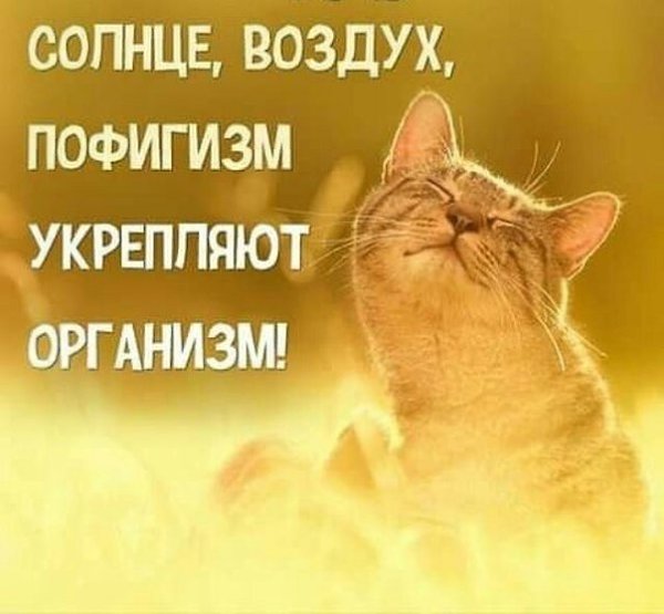    - 22  2018  16:48