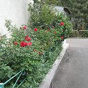 ���� ���������, �������� - ��������� 28 �������� 2018 � ������ ���������-2018�
