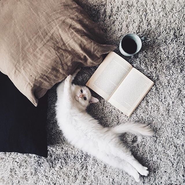   ,   ...  .       - 9