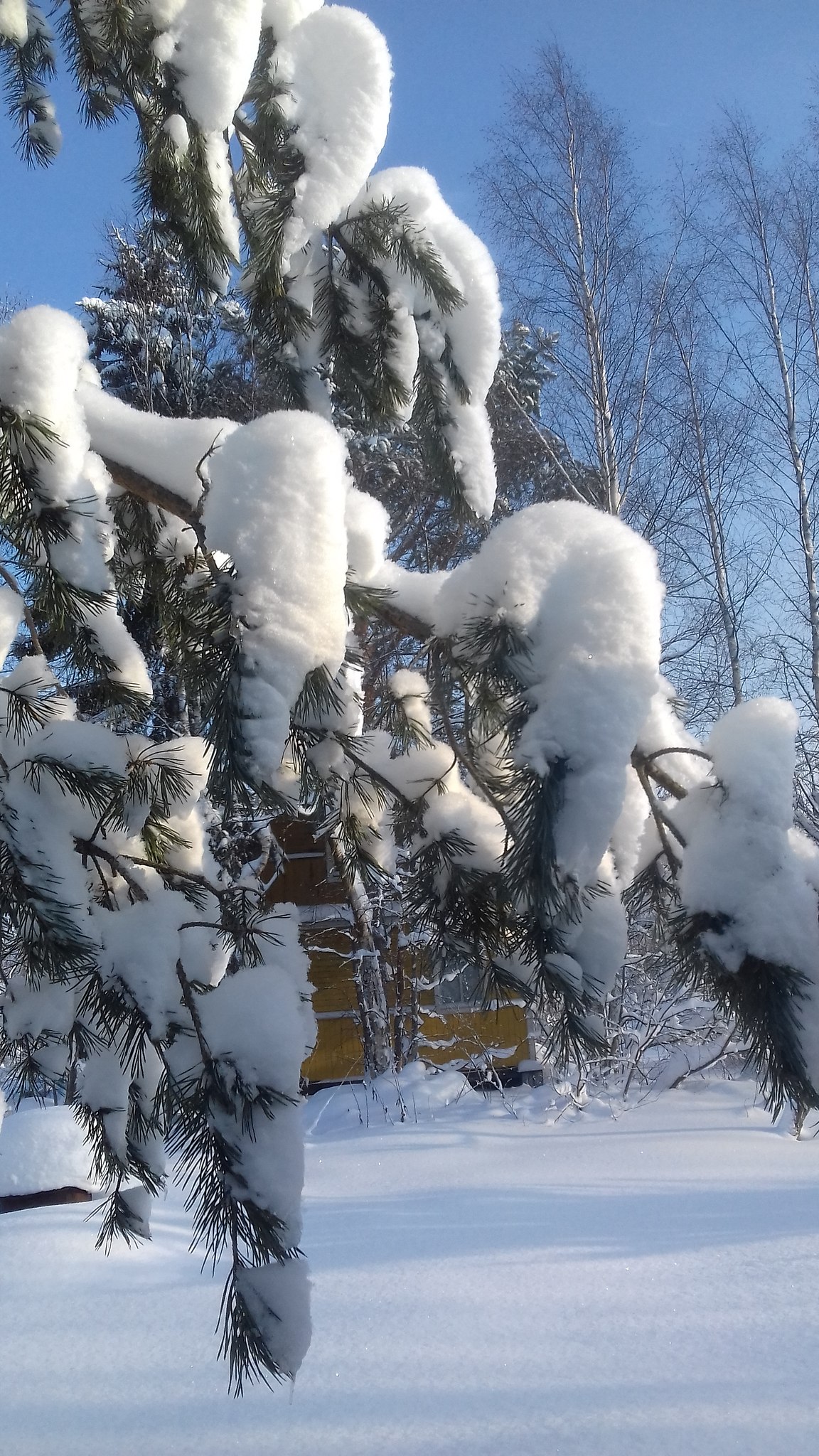   ! - 2