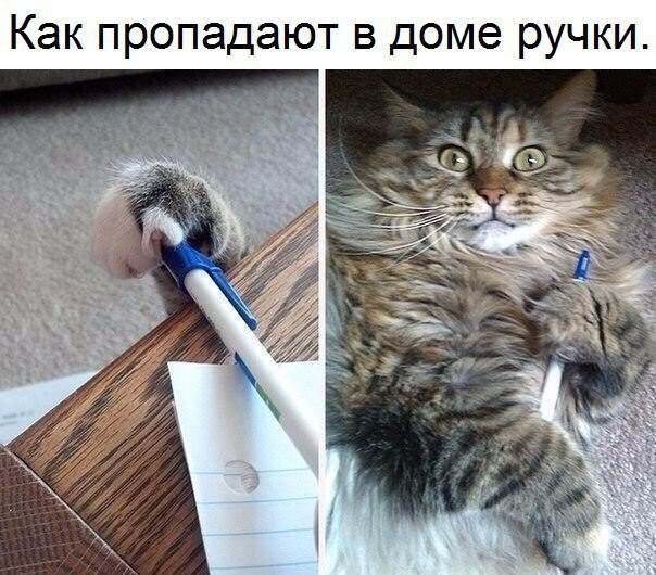   - 1  2018  16:46