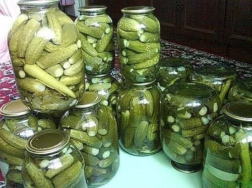 Закрываем огурцы на зиму. 8 вариантов заготовок. 1. ВАРИАНТ-ОГУРЦЫ