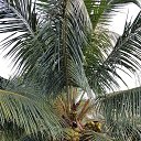 ���� ����� �������, ������-��-����, 49 ��� - ��������� 25 ������ 2018 � ������ ���� ����������