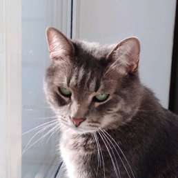 ���� �������, ������, 35 ��� - ��������� 9 ����� 2019