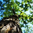 ���� �������, ������, 40 ��� - ��������� 17 ���� 2018 � ������ ���� ����