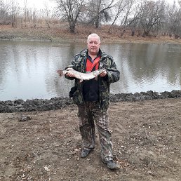 ������, ���������, 53 ����