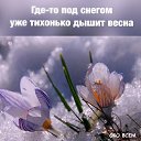 ���� �����, ������ - ��������� 26 ������� 2019 � ������ ���� ����������