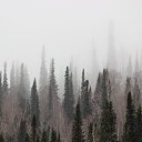  ,  -  14  2018   .2018.