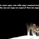 ���� ����� �������, ���������, 44 ���� - ��������� 17 ����� 2019 � ������ ������ ��������